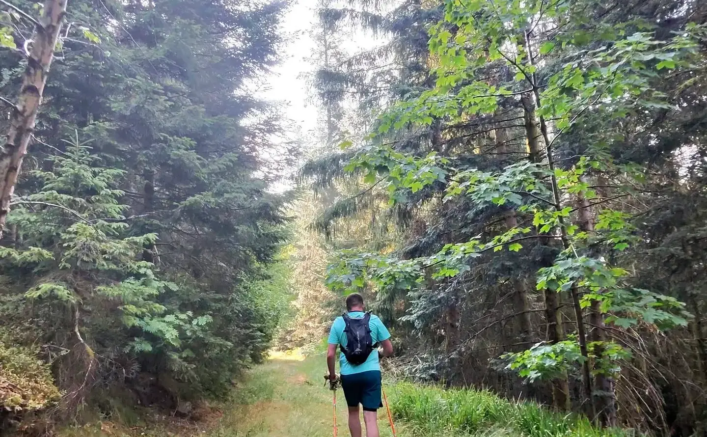 Un coureur de l’association sur un sentier herbeux de sous-bois.