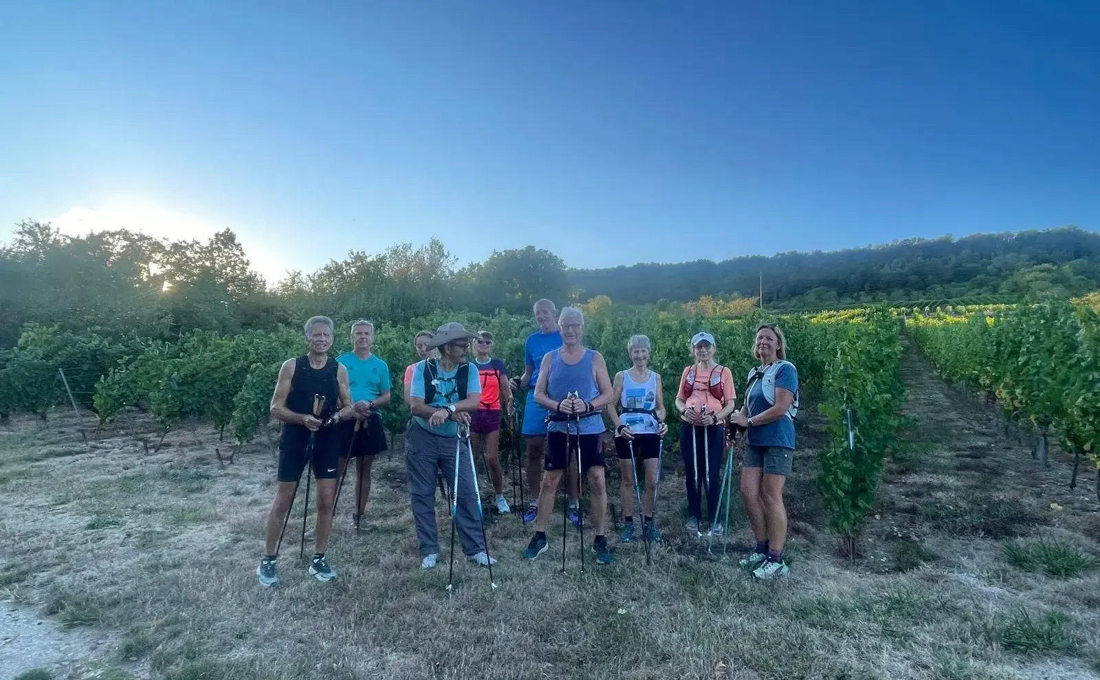 Le groupe de l’association, bâtons en main, au milieu des vignes.