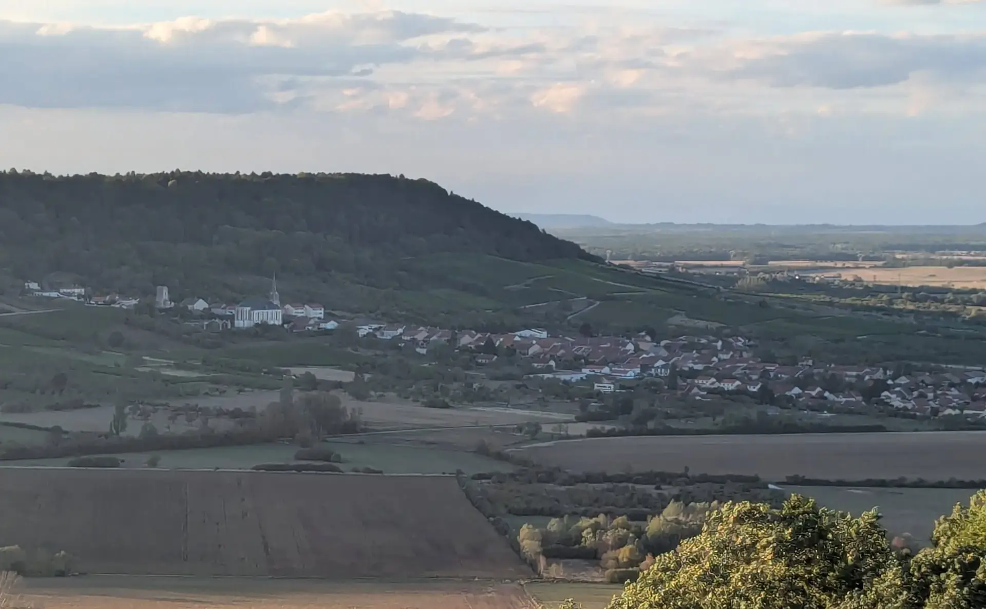 La côte boisée domine un village et la plaine du Toulois, dans la lumière de fin de jour.