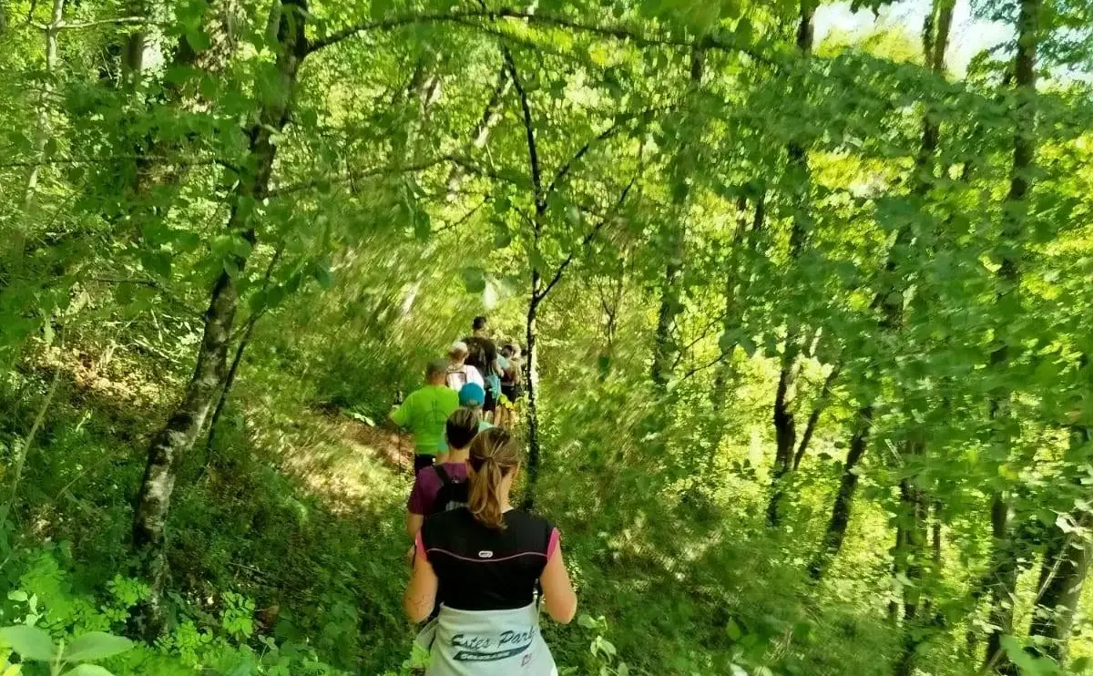 Une marcheuse de l’association sur un sentier, dans un sous-bois très vert.