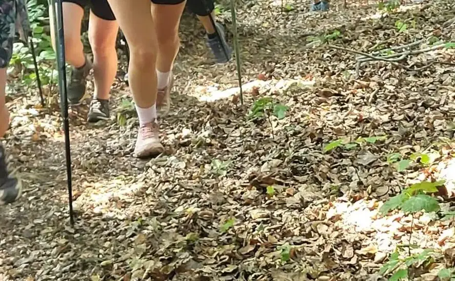 Une montée de trail avant la section sur l’encadrement : ce que les encadrants accompagnent.